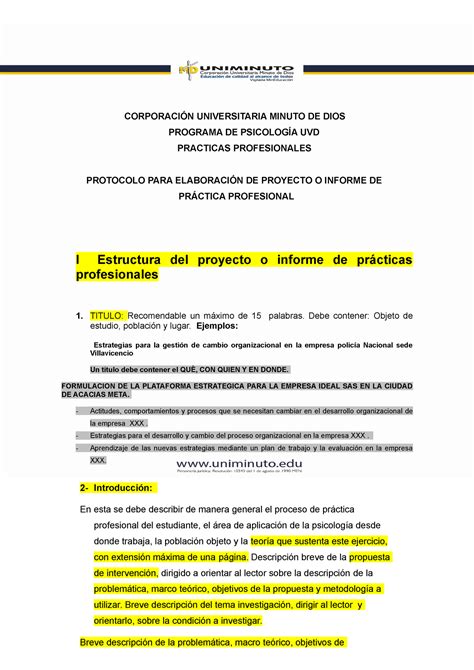 Lineamientos Informe Practica Profesional Copia