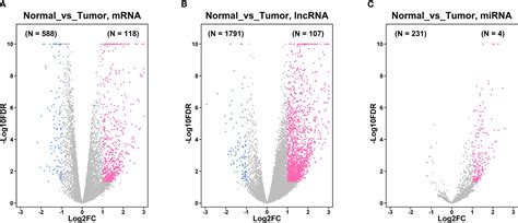 Frontiers The Role Of MiR 4256 HOXC8 Signaling Axis In The Gastric