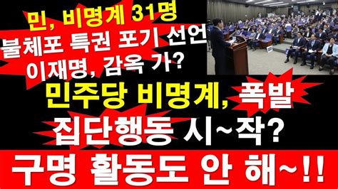 민주당 비명계 폭발 집단행동 시~작 이재명 등골 서늘 비명계 31명 불체포 특권 포기 선언 구명 활동도 안 해