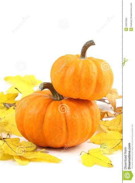 Mini pumpkins clipart - Clipground