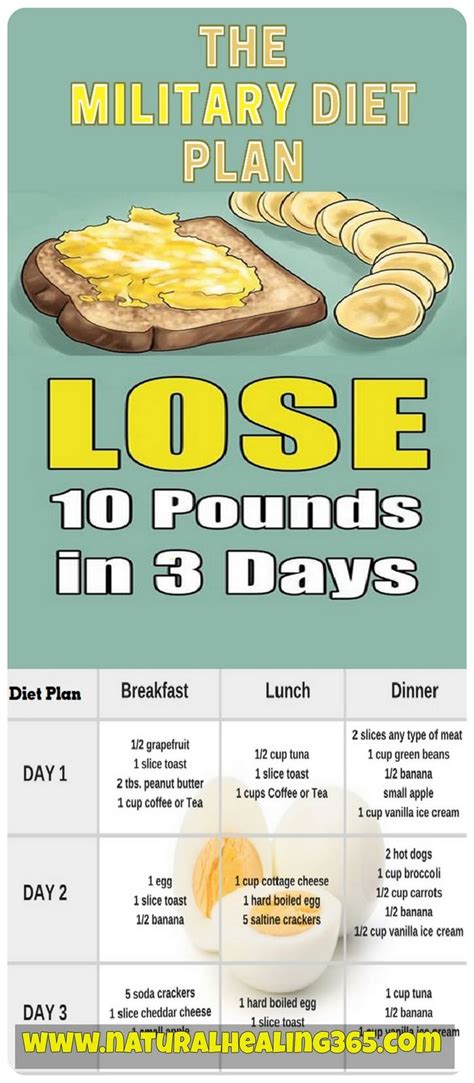 7 Day Military Diet Printable