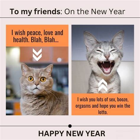 Funny Happy New Year Wishes And Statuse