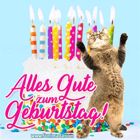 Lustige Katze Mit Geburtstagstorte Alles Gute Zum Geburtstag Happy