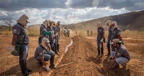 Semana Do Meio Ambiente A Agricultura Sustent Vel Na Preserva O Da