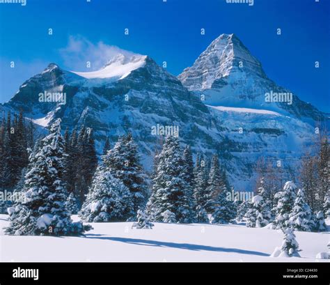 Mount Assiniboine in winter, Mount Assiniboine Provincial Park British ...