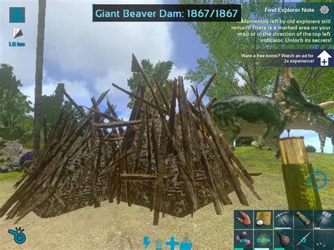 Is this ammount of beaver dams normal got 8 beaver dams withing a short