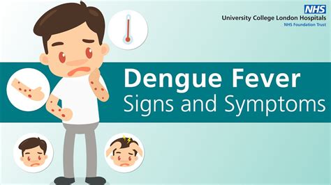 What Are The Signs And Symptoms Of Dengue Fever Youtube