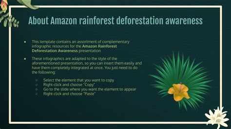 Infographies sur la déforestation de la forêt amazonienne