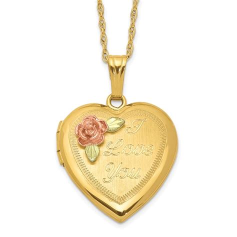 14k Gold Filled With 12k Black Hills Gold Heart Locket 10bh680 18