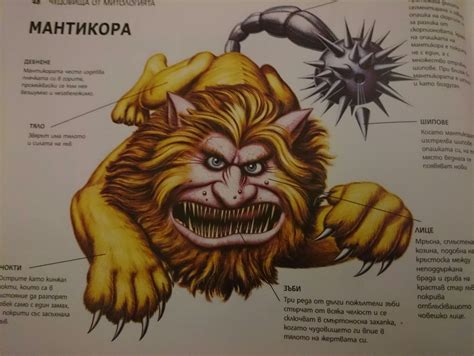 Митология - МИТИЧЕСКИ ЧУДОВИЩА