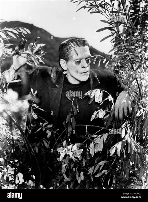 Boris Karloff Frankenstein Hi Res Stock Photography And Images Alamy