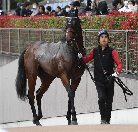 キズナ産駒ジャスティンミラノが2番手から抜け出し白星発進 友道師は通算700勝達成／新馬戦 2歳馬特集 競馬写真ニュース 日刊スポーツ