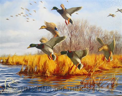 Almost Home Tin Sign Metal Poster Moss Ducks Unlimited Art Print Home