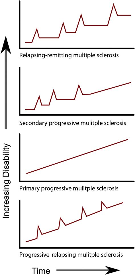 New Insights Into Multiple Sclerosis Clinical Course From The Topographical Model And Functional