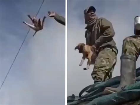 Un Militar Se Graba Lanzando Un Perro Al Vac O Y Ri Ndose Cuando Muere