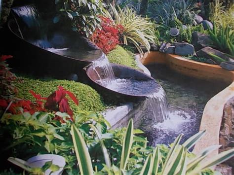 Tropical garden with water feature -- Curated by: Blue Valley Aquatic ...