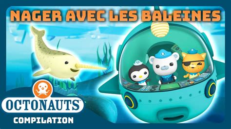 Octonauts 🤿 Nager Avec Les Baleines 🐋 Journée Mondiale De La Baleine Compilation Youtube