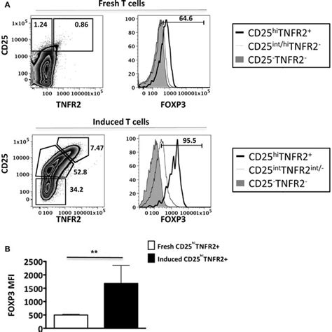 Foxp Expression Levels On Ex Vivo And Induced Tnfr T Cells Flow