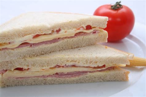 Meat and cheese sandwich stock photo. Image of food, hunger - 4201476