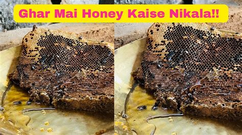 Day 3 Part 1 Madhumakkhi 🐝🐝 Ka Khoob Sara Honey😍😋😋 Dekho Kaise Nikalte Hai Ghar Mai Honey