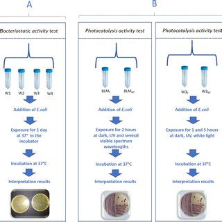 Bacteriostatic Activity In Natural Spa Waters With Different Abiotic