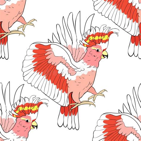 Cockatoo Wings Flying Coloring Seamless Pattern Vector Illustra Stock