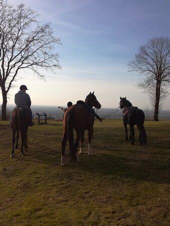 Hambers Photos Featured Images Of Hambers Mayenne Tripadvisor