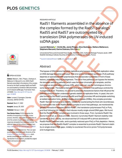 PDF Rad51 Filaments Assembled In The Absence Of The Complex Formed By