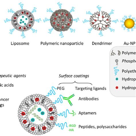 Main Types And Composition Of Nanocarriers Used For Cancer Treatment