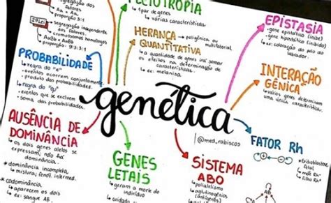 Mapa Mental Esquematizado Sobre Genetica Study Maps Theme Loader