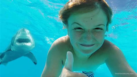 swimming-with-sharks - That Dad Blog