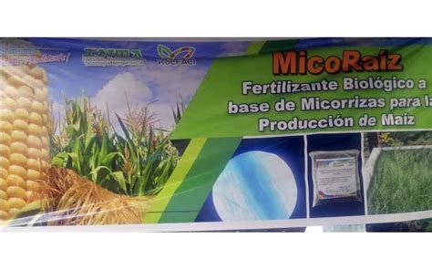 INTA presenta nuevo fertilizante a productores de granos básicos