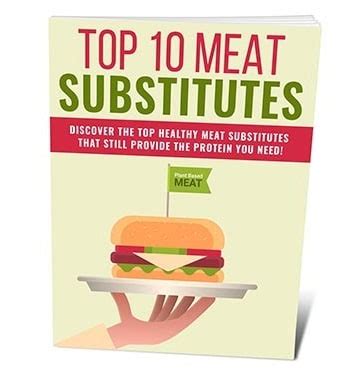 Top 10 Meat Substitutes · BestDealPLR.com