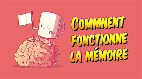 Psychologie Comment fonctionne la mémoire YouTube