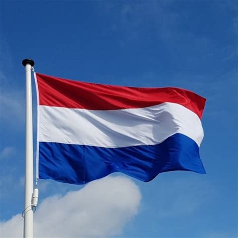 Het Gebruik Van De Nederlandse Vlag Gemeente Voorst