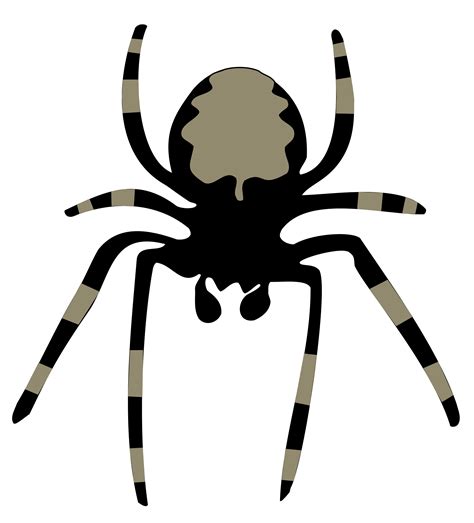 Garden Spider Clipart 20 Free Cliparts Download Images On Clipground 2024