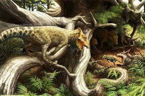 Dinosaurus Bertanduk Kemungkinan Berasal Dari Kawasan Asia National