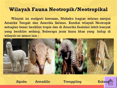 Ide Populer Fauna Neartik