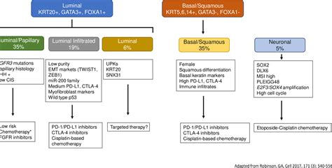 Figure 1 From Management Of Metastatic Bladder Cancer Semantic Scholar