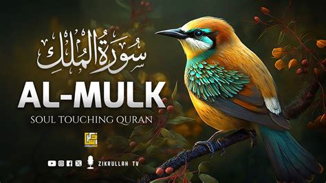 Surah Al Mulk سورة الملك This Soft Voice Will Touch Your Heart إن شاء الله Zikrullah Tv