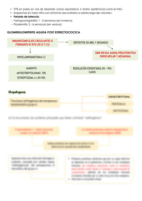 SOLUTION 11 S Ndrome Nefr Tico Y Glomerulonefritis Aguda Studypool