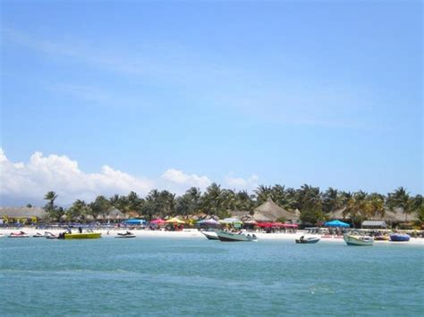 Playa La Punta Isla De Coche Lo Que Se Debe Saber Antes De Viajar