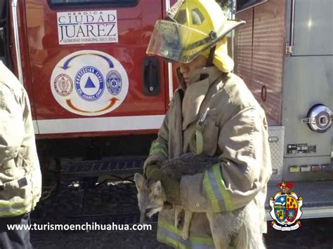 TURISMO EN CIUDAD JUÁREZ TE COMENTA DE QUE LOS BOMBEROS A Flickr