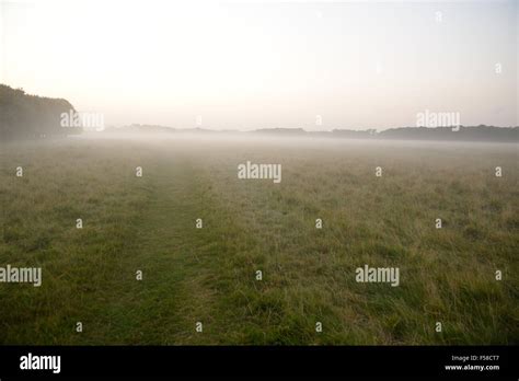 Misty Dusk At Phoenix Park Stock Photo Alamy