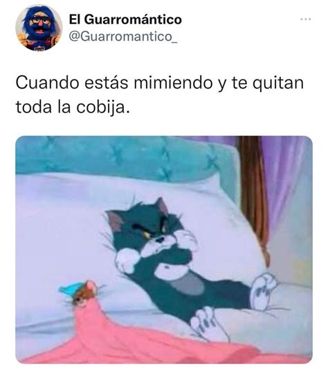 A Cat Laying In Bed With The Caption That Reads Cuandoo Ests Mi