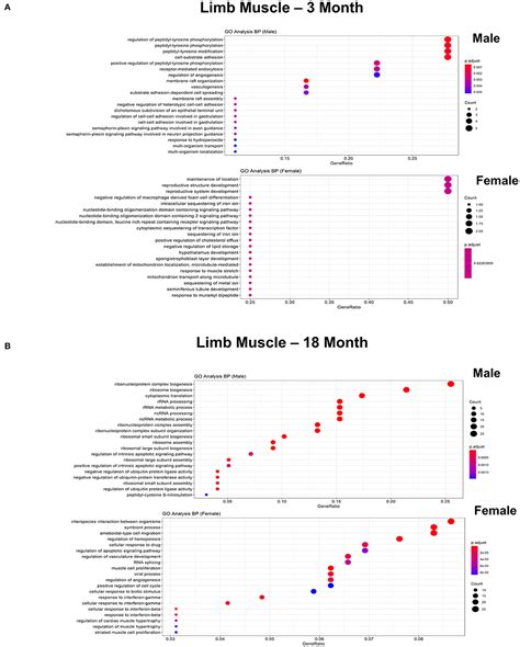 Frontiers Single Cell Transcriptional Profiling Reveals Sex And Age