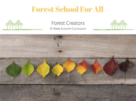 Curriculum - Forest School For All