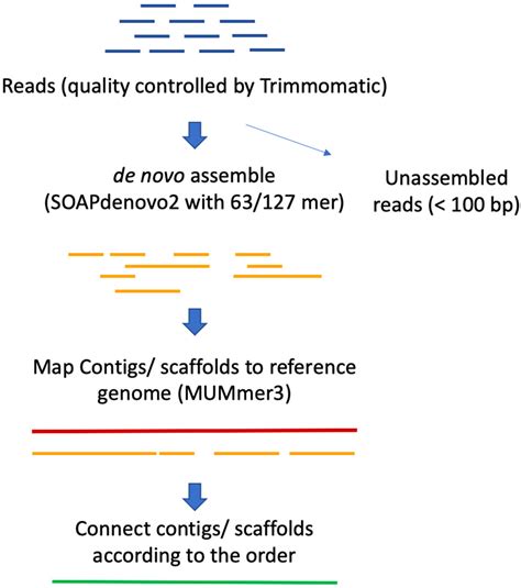 Plants Free Full Text Reference Guided De Novo Genome Assembly To