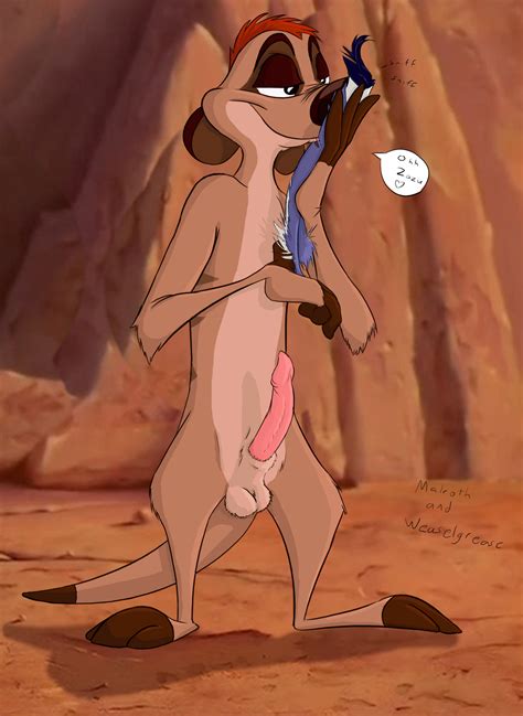 Rule 34 Disney Male Only Penis Tagme Testicles The Lion King Timon 653326