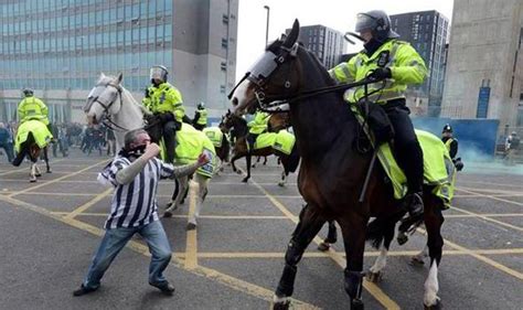 Police Horses Animals In Human Society